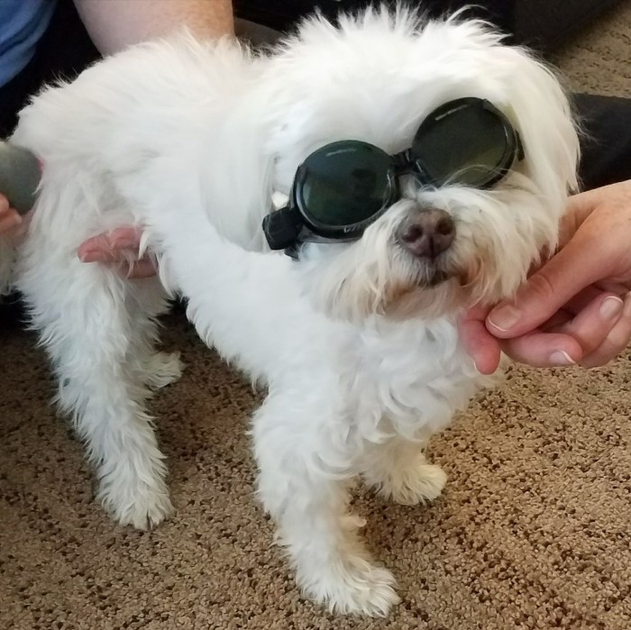 20776724_10155581635307354_3438782500821514093_o (1)